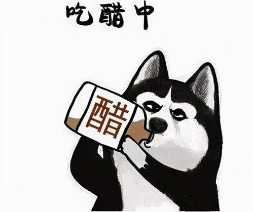  狗狗这些行为,都在表达我吃醋了