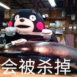  佛爷前脚刚跟二爷下斗,陈皮后脚就要对新月动手