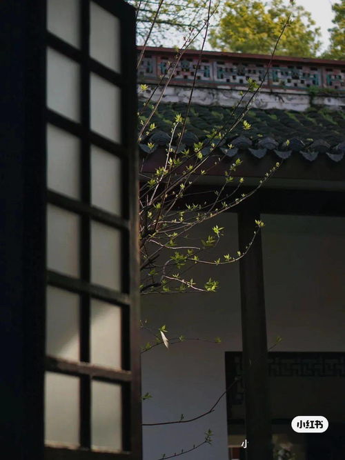  向往的生活5取景地曝光,我被湖南彻底圈粉了