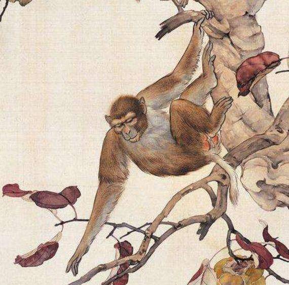  5月6号开始,三大生肖桃花遍地开,诸事顺心意