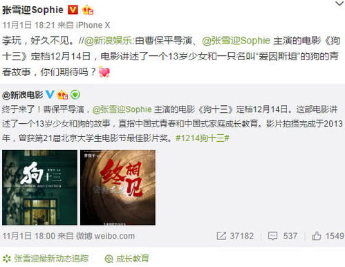  张雪迎演出了那么多人的青春,有些人却只记得那碗胡辣汤