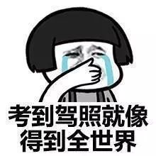 哥妹头像压岁钱