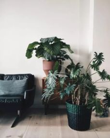  合肥人注意装新房一定想好这些,否则有你哭的
