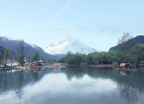  就地过年来一场亲子周边游,耍鱼凫湿地住泡泡屋,温暖过春节