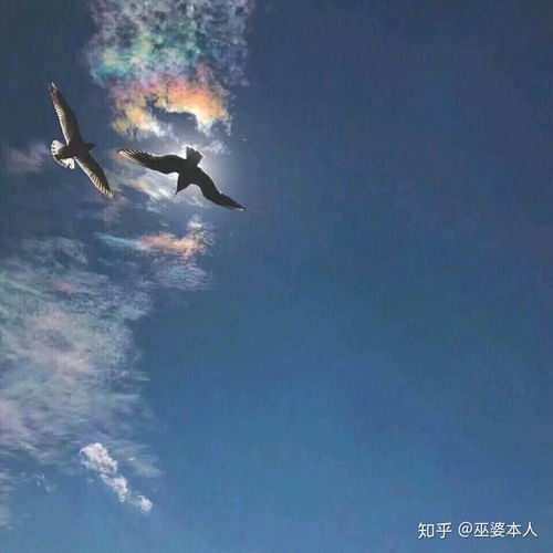  有没有在高处看着底下一群人的头像或者图片,鹤立鸡群高处不胜的意境的头像