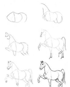  100种动物简笔画画法,拿去临摹