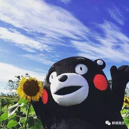 南京竟然有这么多好地方,既能饱览湖光山色又能吃到美味的烧烤