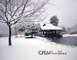  冰雪中国杭州西湖雪景
