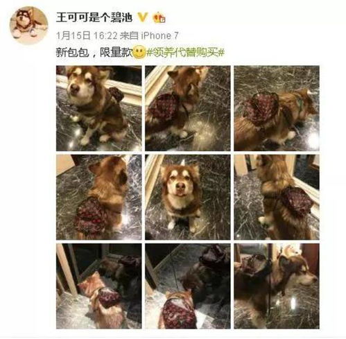  豪门教育二代反差大,有人挥金如土,有人穷养儿,有人骗孩子没钱