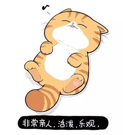  一只小橘猫的大理想,超可爱