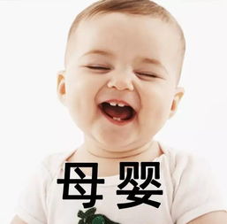  12星座的恋情分析表,太准了