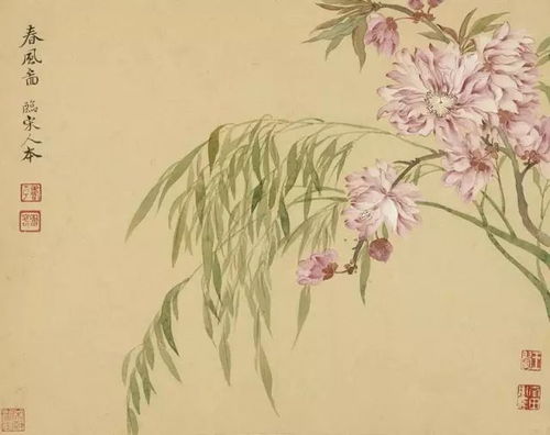  讲堂丨舍山水而独爱花卉,恽寿平的花鸟画你不可不看