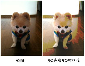  javascript图像处理亮度对比度