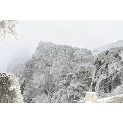  黄山,下雪了