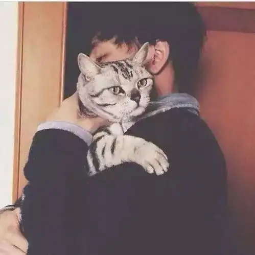  男不养猫女不养狗朋友,你这么会讲话,一定没有姑要你这条单身狗吧哔哩哔哩