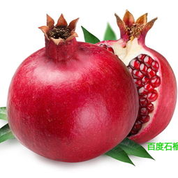 头像图片微信无字小石榴