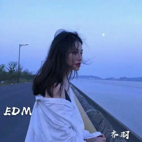 巴辛博累dj版齐羽高音质在线试听巴辛博累dj版歌词歌曲下载酷狗音乐 巴辛博累dj版齐羽高音质在线试听巴辛博累dj版歌词歌曲下载酷狗音乐