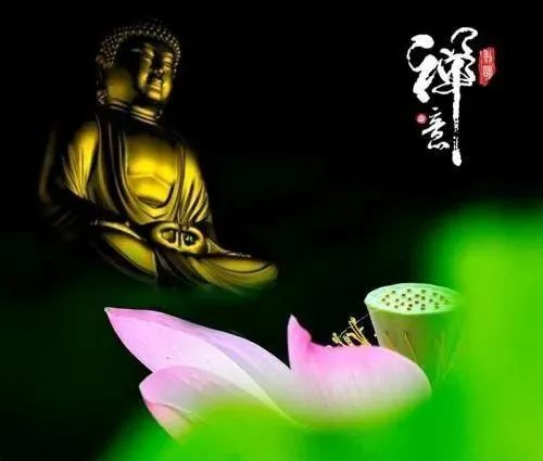  佛教居士指导信众如何参禅