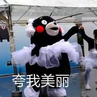  熊本熊系列卖萌文字表情包本宝宝的身材凹凸有致