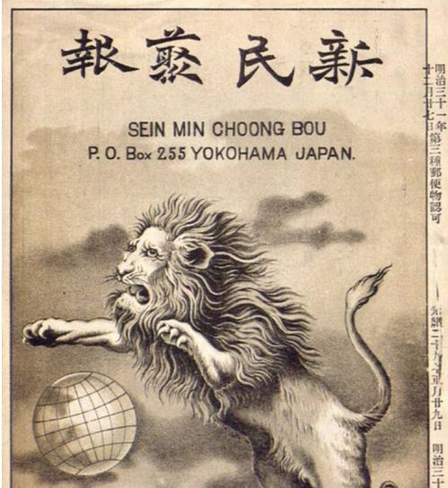 沉睡的狮子头像狮子座