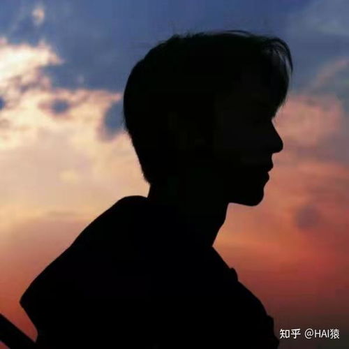  全面总结最受欢迎的5种编程语言,都各有什么特点或优点