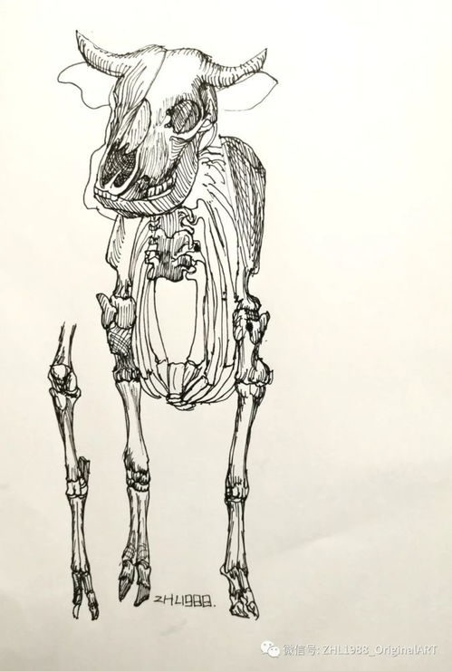 动物头像大全简笔画种族