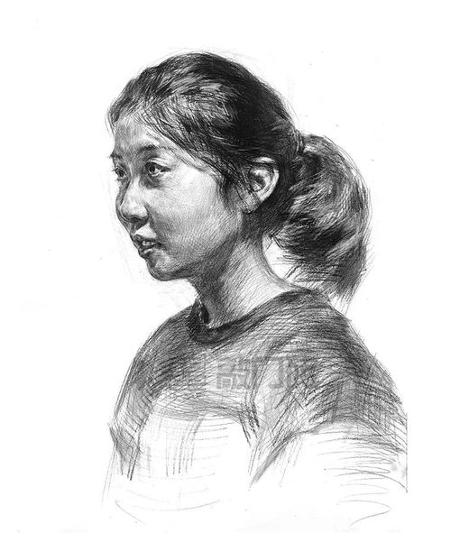  名师推荐全体系素描名师汪为民,为你解读静物头像造型技巧拿高分就是这几点