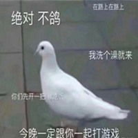  我一定会来鸽子表情包微信头像图片大全