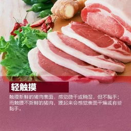  肉原来应该这样切,这么多年竟然都白切了