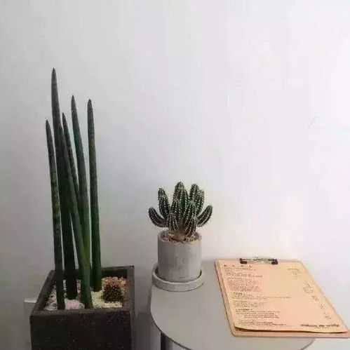  正能量,给你当头棒喝的十句话