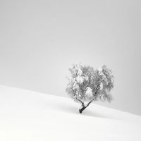  你一定没见过这样的绝美雪景