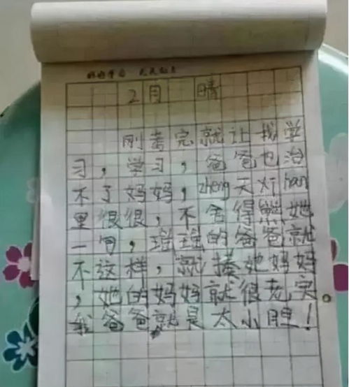  小学生日记我的家,用西游记人物描述家长,爸爸看完想打人