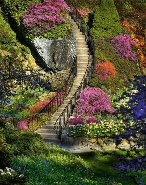 盘点全球最美花园,早已是一片梦幻的花卉海洋