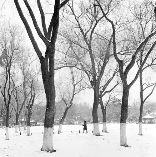  杭城雪景美如画