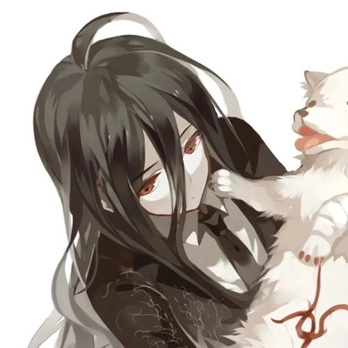  无标题