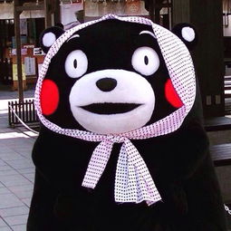  kumamon我都快被自己帅哭了