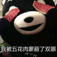  卡通熊本熊微信头像