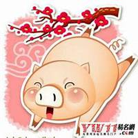  属猪微信好运吉祥招财头像微信头像图片大全