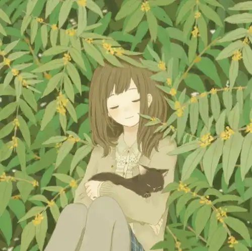  求治愈系致郁系唯美图片插画