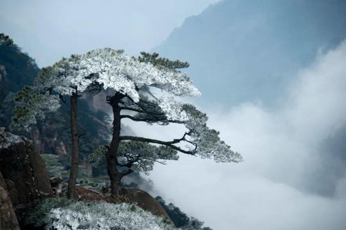  李刚展翅翱翔