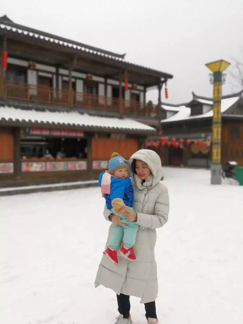  获奖公布保利中央公园醉美雪景摄影大赛完美收官