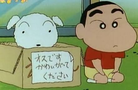  什么作品让你看完产生了某种发自心底的对生活的乐观
