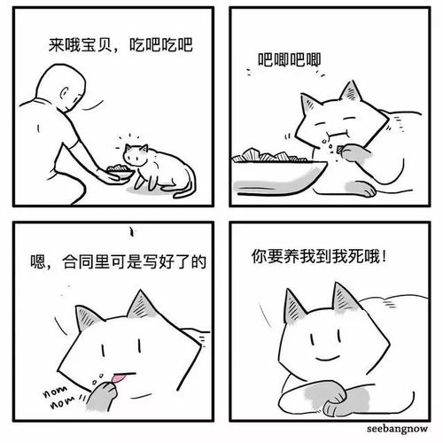  猫狗人死神这个漫画家有点萌