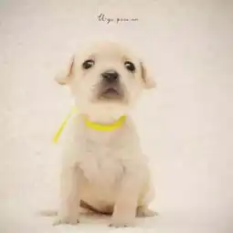  别拦我我要为你们疯狂打call