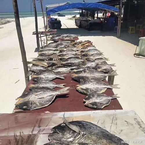  聚焦西沙银屿岛海天一线