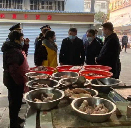  祁豫玮调研浦口区食品安全及冷链食品监管工作