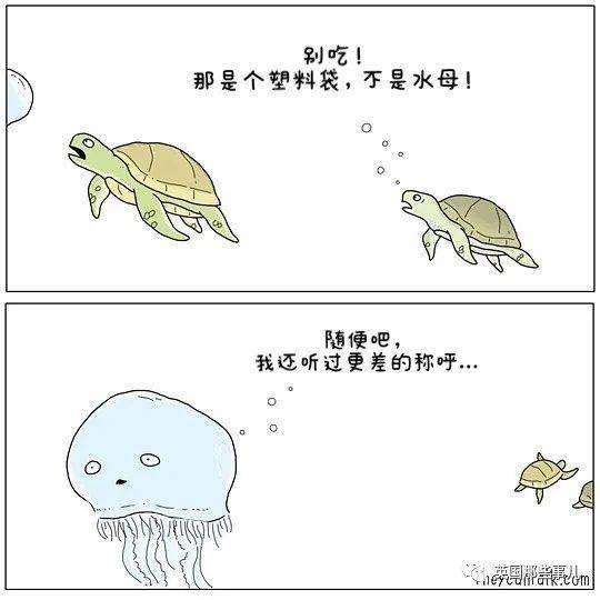  如果动物们会说话果然个个都是蠢萌沙雕蛇精病