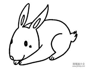  兔子简笔画大全关于兔子的线描画