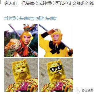  这个头像火了孙悟空看了都得直摇头你朋友圈里有几只金钱豹