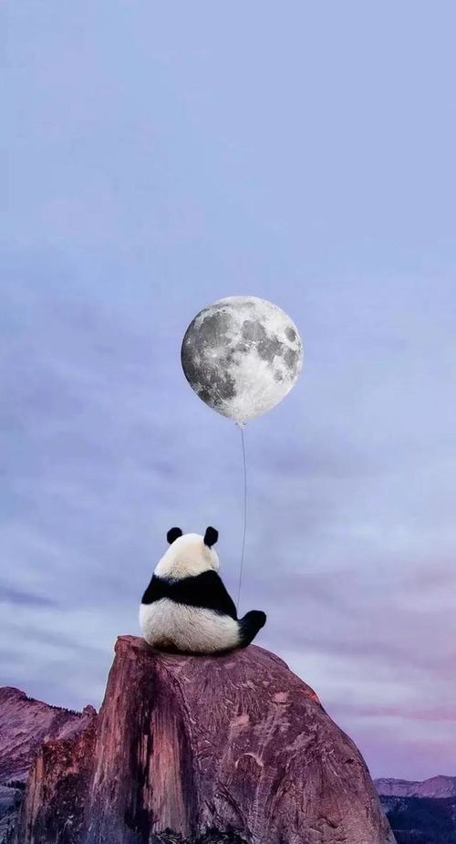  总有一个在路上